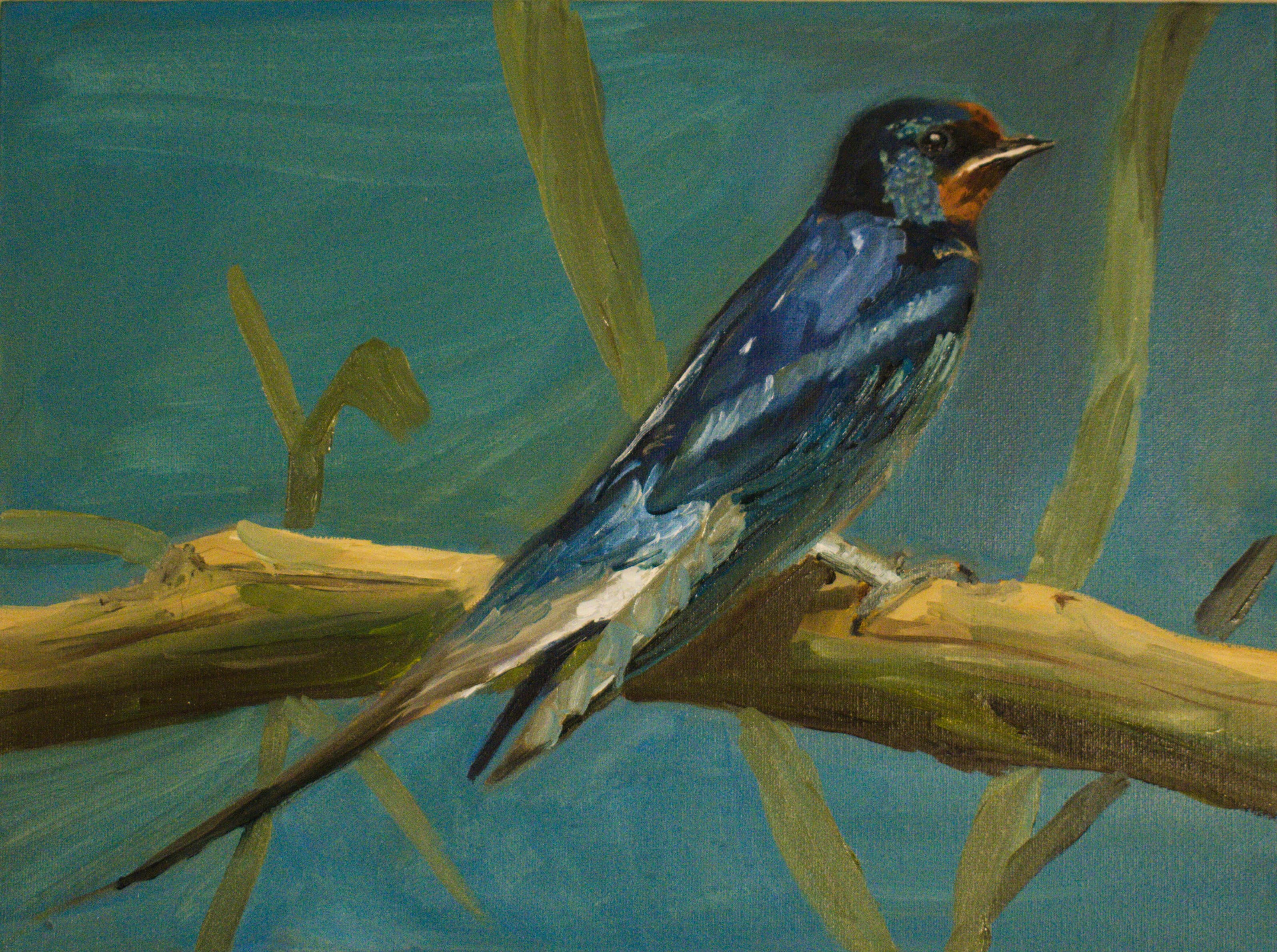 A bank swallow (oils on canvas, 40cm x 30cm)